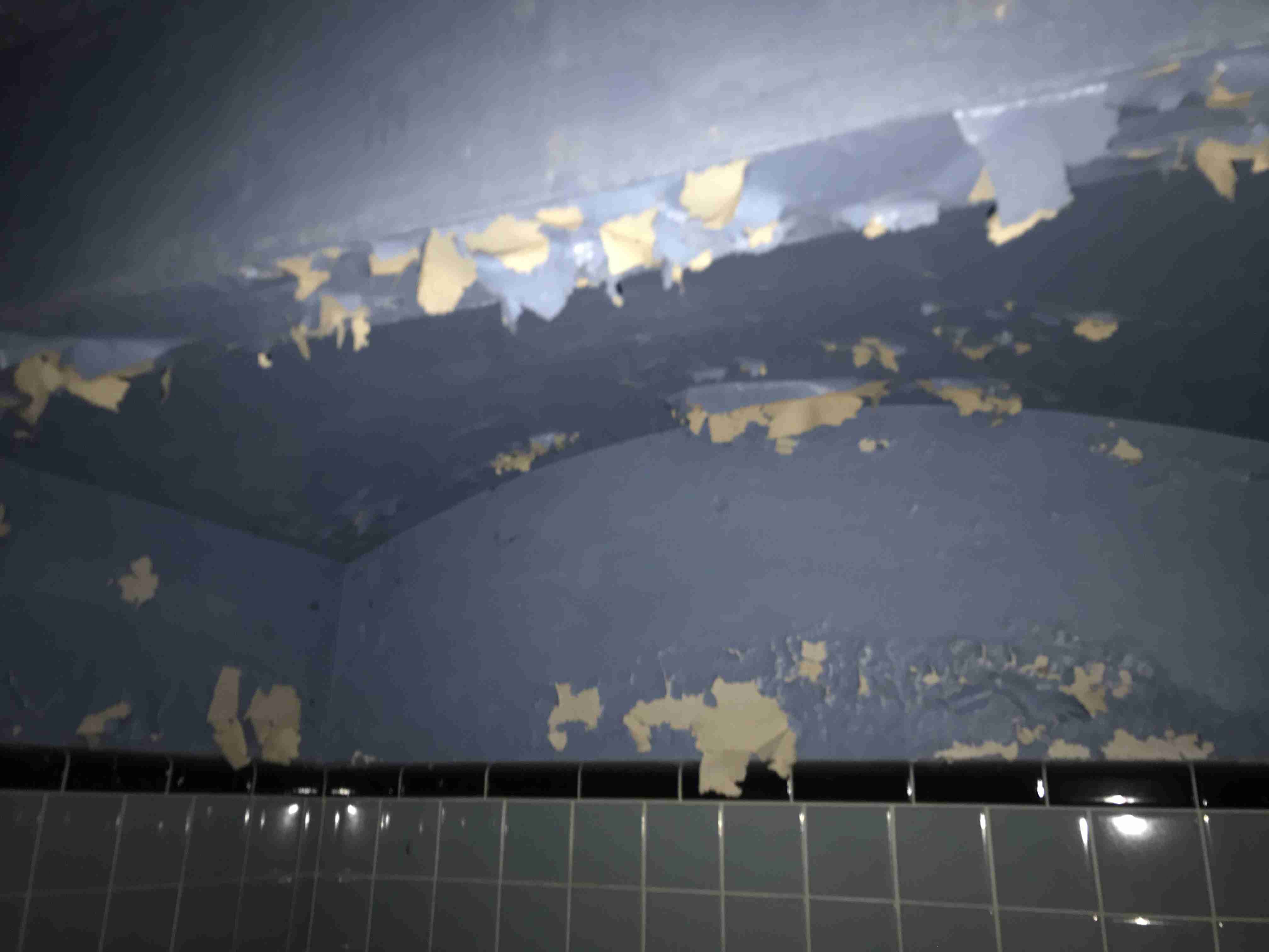 Photo Aug 20, 1 30 39 PM.jpg